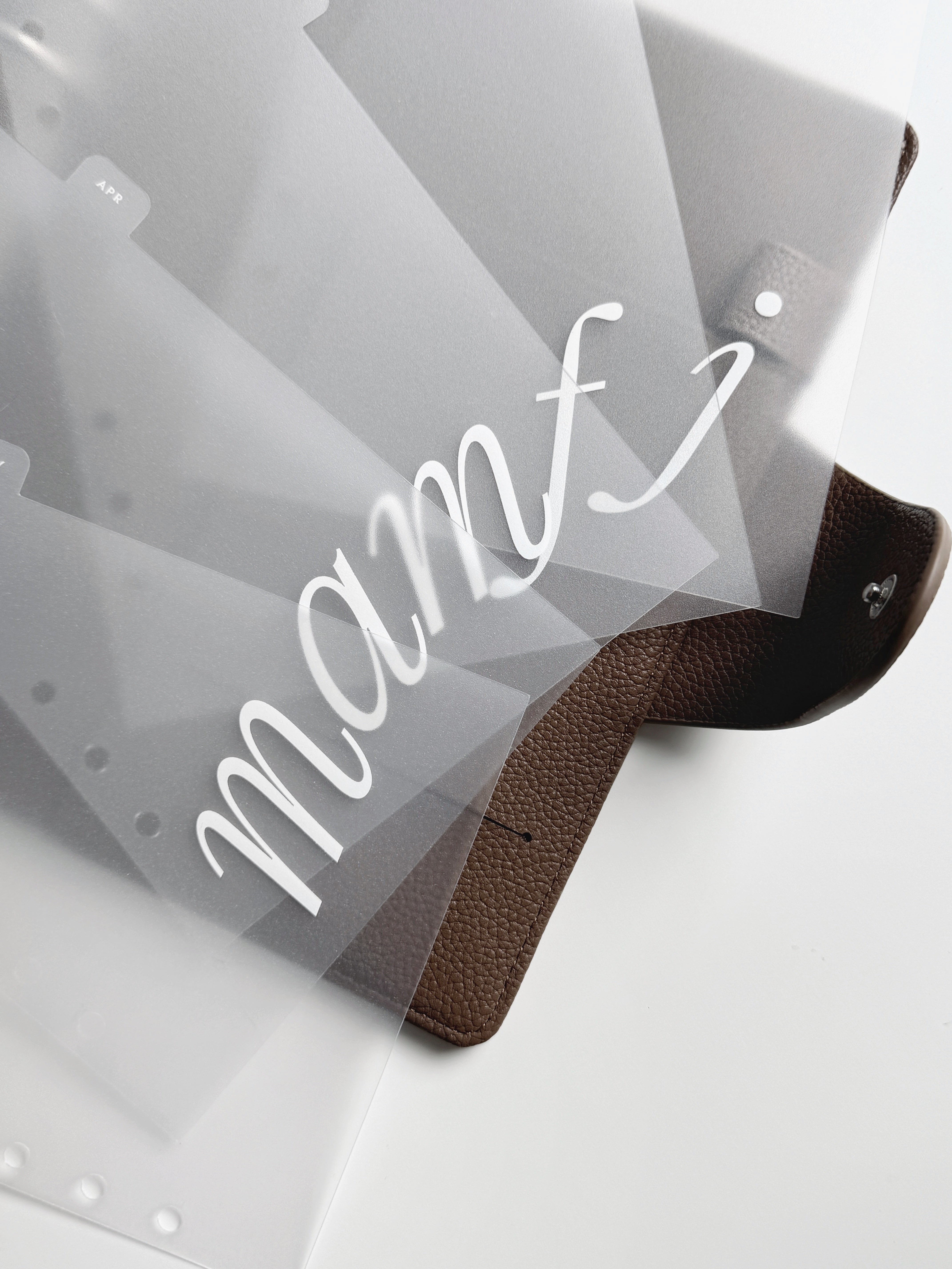 12-Months Dividers (white print)